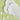 White cream with droplets on a green background