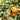 Oranges hanging from a tree with green leaves and small white flowers.
