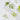 Clear glass plates with green leaf patterns on a white background