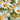 Close-up of white chamomile with yellow centers in a garden setting