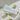 Tube of cream with green plums on a light background