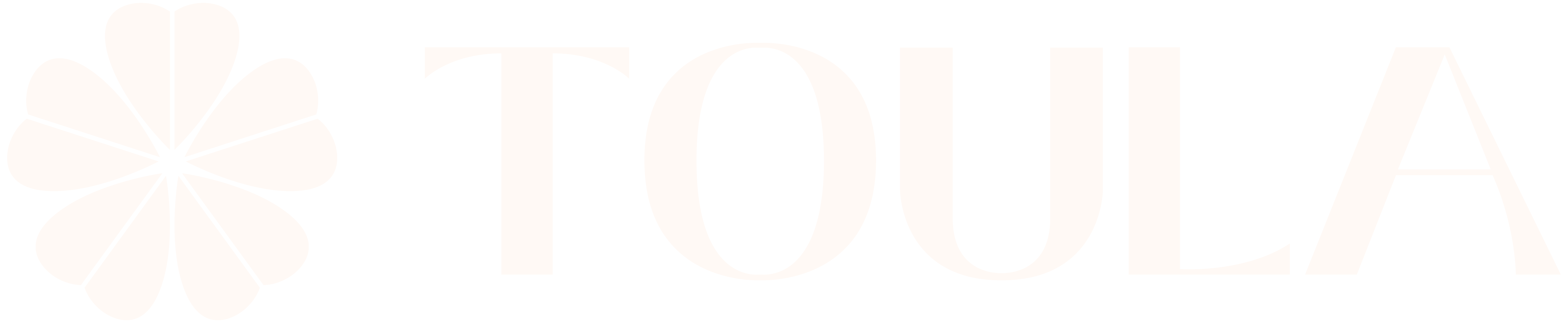 TOULA